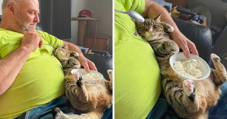17 édesapa, aki nem akart háziállatot, de végül őrülten megszerette