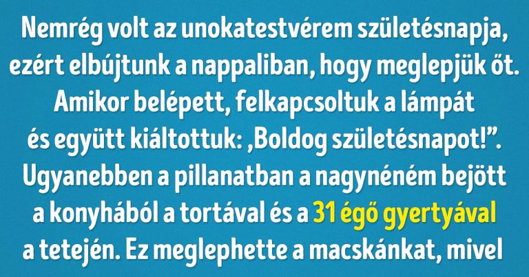 20+ abszurd helyzet, amivel csak a macskatulajdonosok találkozhatnak