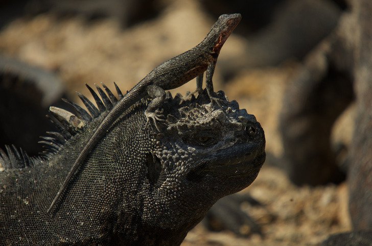 74c7c254b9bac18ab3bb5c47a3