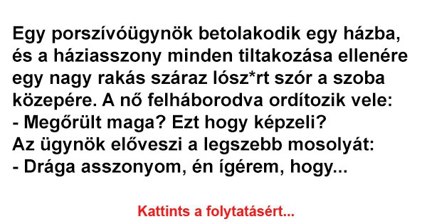 A porszívóügynök betolakodik egy házba