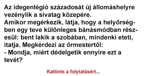 Az idegenlégió századosát új állomáshelyre vezénylik a sivatag közepére