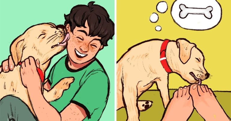 Miért nyalogatják a kutyák a gazdájuk arcát és lábát (+11 további érdekesség a kutyák viselkedéséről)