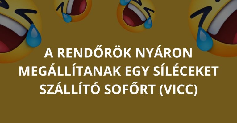 VICC: A rendőrök nyáron megállítanak egy síléceket szállító sofőrt