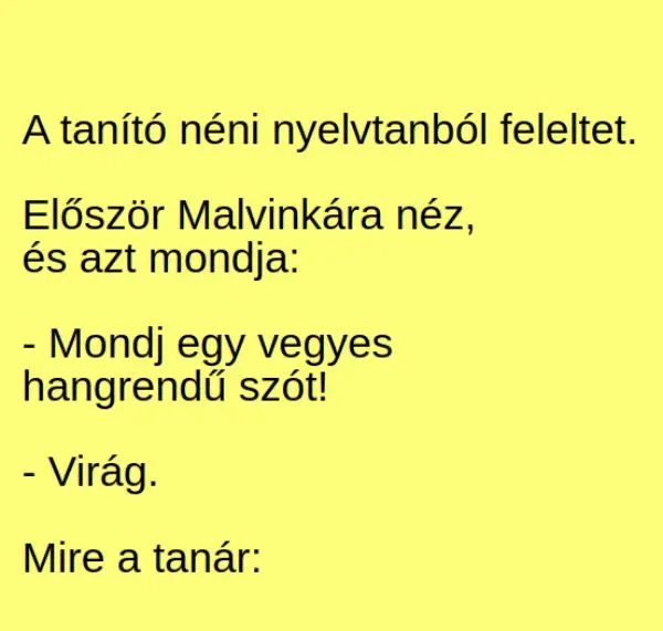 VICC: A tanító néni nyelvtanból feleltet. Először Malvinkára néz, és azt mondja: