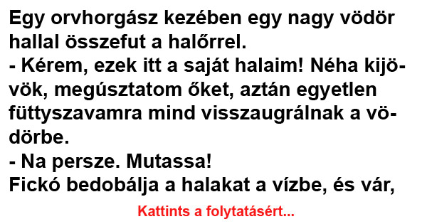 VICC: Egy orvhorgász kezében egy nagy vödör hallal összefut a halőrrel