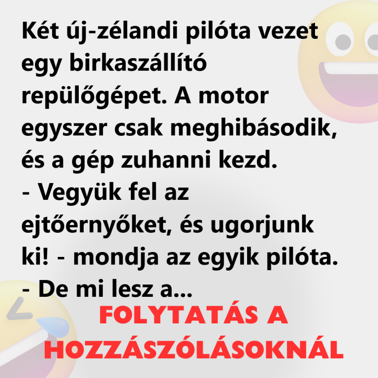 Két új-zélandi pilóta vezet egy birkaszállító repülőgépet