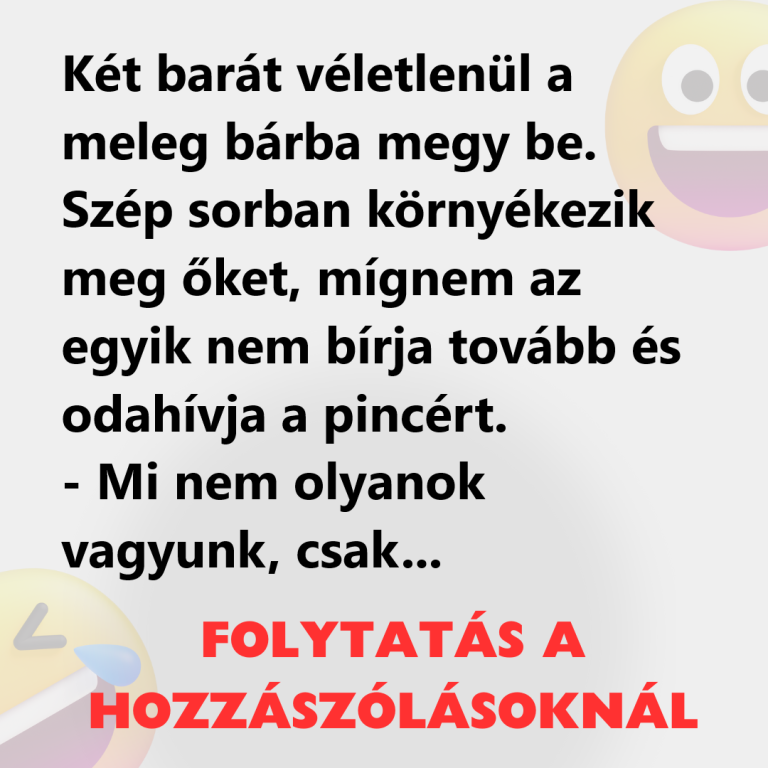 Két barát véletlenül a meleg bárba megy be