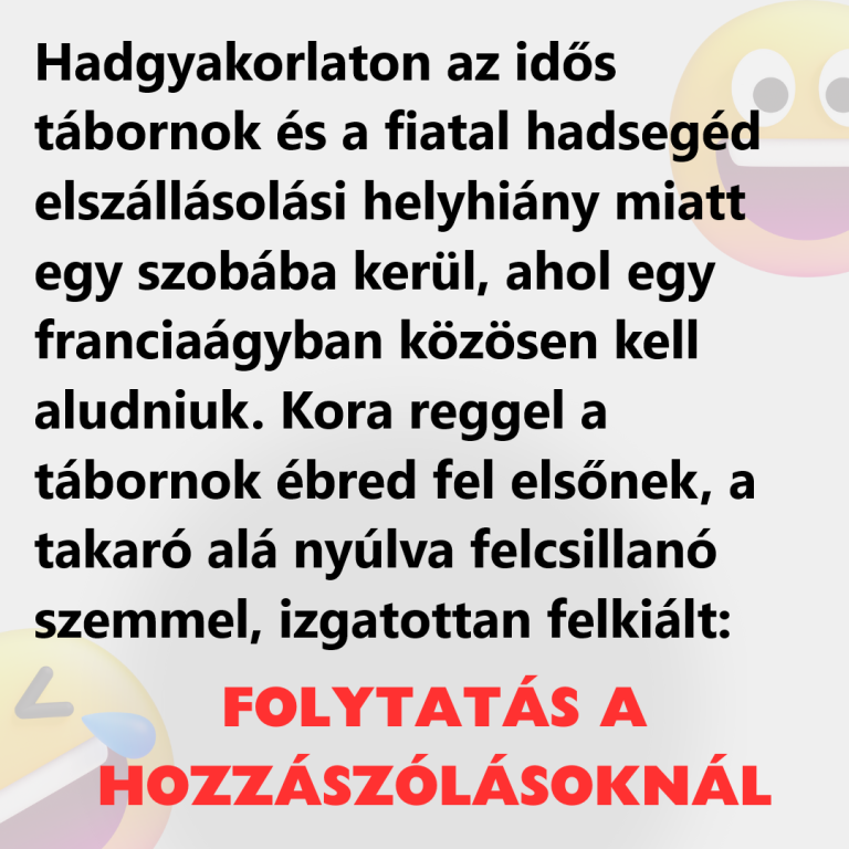 Hadgyakorlaton az idős tábornok és a fiatal hadsegéd