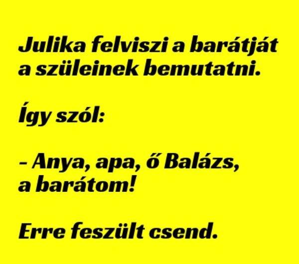 Julika felviszi a barátját a szüleinek bemutatni…..