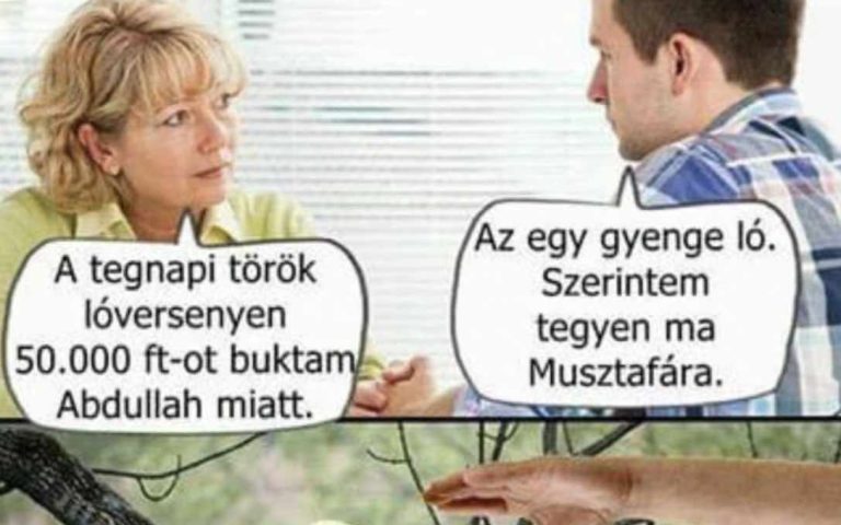 Az egy gyenge ló