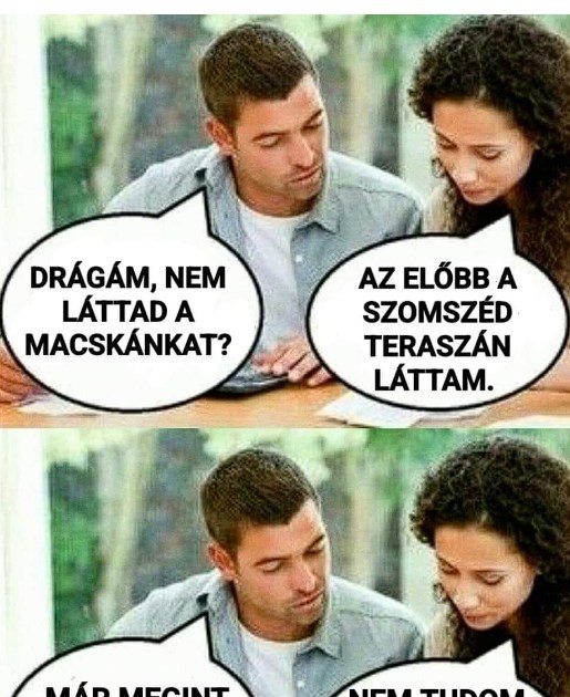 Drágám, nem láttad a macskánkat?