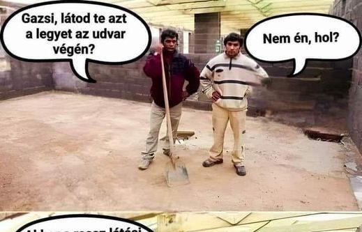 Gazsi, látod te az a legyet?