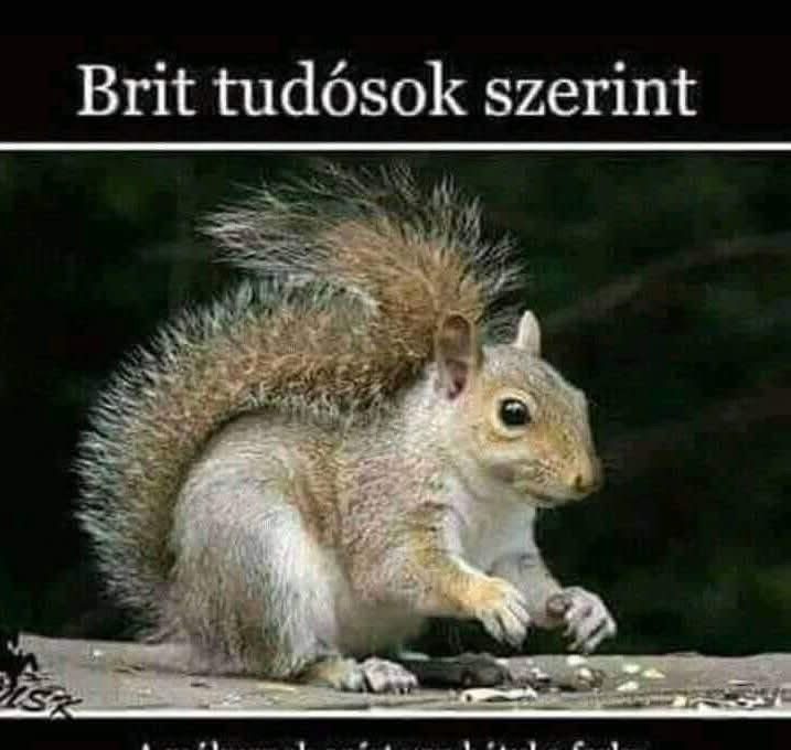 Brit tudósok szerint…