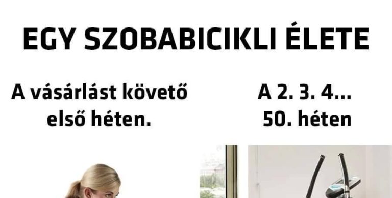 Egy szobabicikli élete