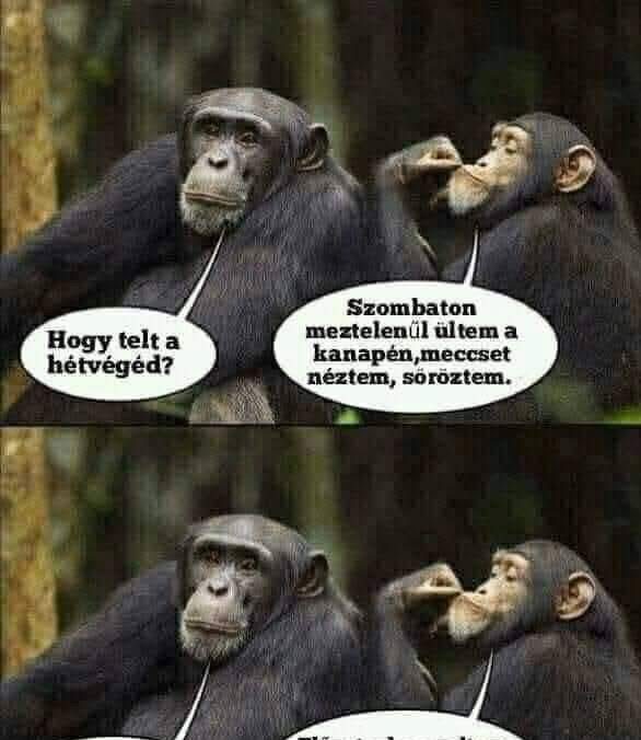 Hogy telt a hétvégéd?