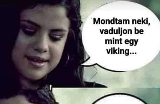 Mondtam neki, hogy vaduljon be