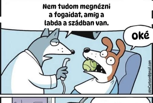 Nem tudom megnézni a fogaidat…