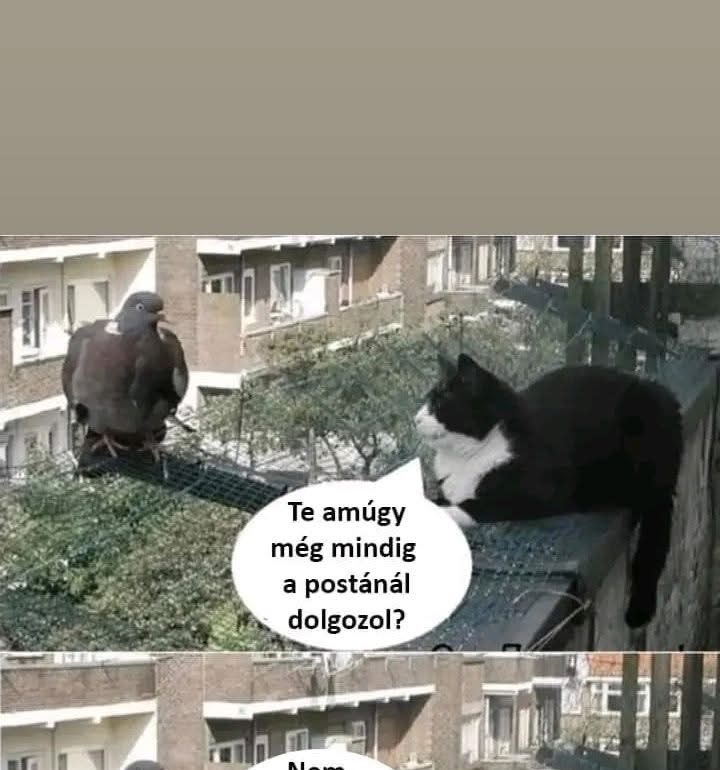 Te amúgy még mindig a postánál dolgozol?