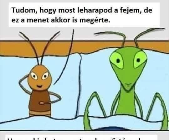 Tudom, hogy most leharapod a fejem