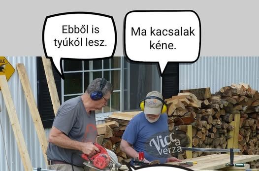 Ebből is tyúkól lesz