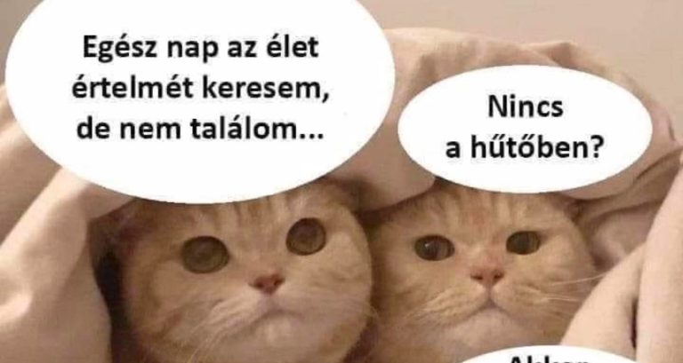 Egész nap az élet értelmét…