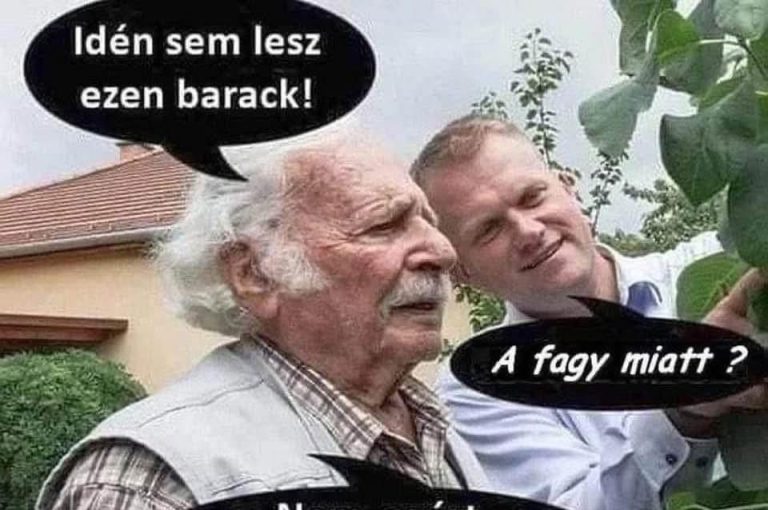 Idén sem lesz ezen barack