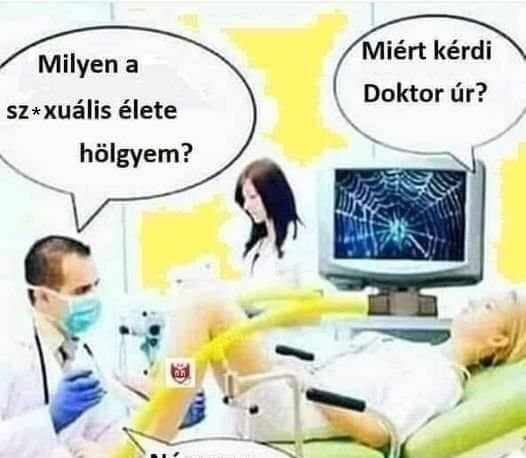 Milyen a … élete, hölgyem?