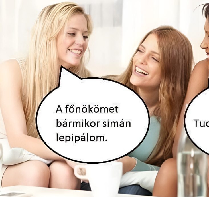 A főnökömet bármikor…