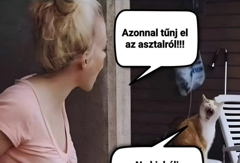 Azonnal tűnj el…