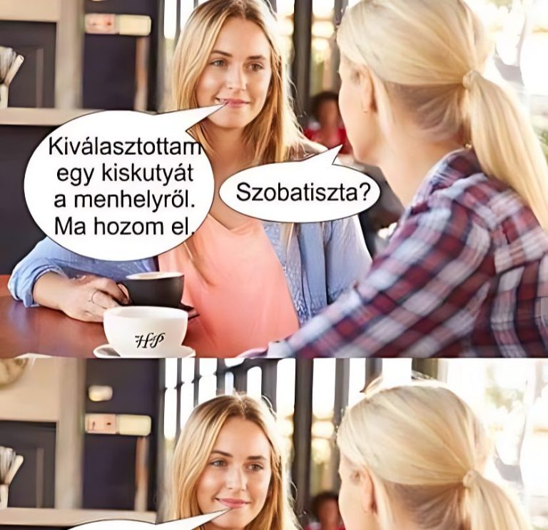 Kiválasztottam egy kiskutyát…