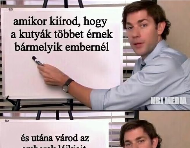 Amikor kiírod, hogy a kutyák…