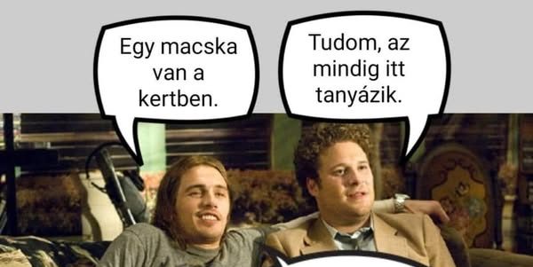 Egy macska van a kertben