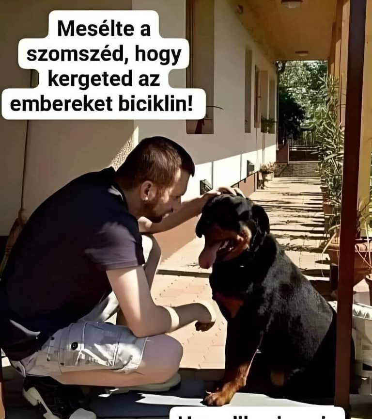 Mesélte a szomszéd…