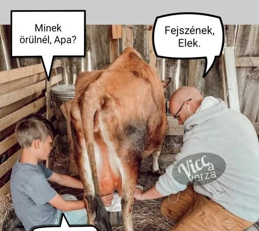 Minek örülnél, Apa?