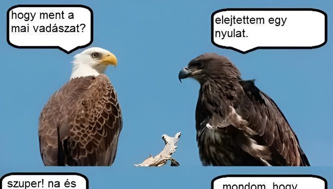Hogy ment a mai vadászat?