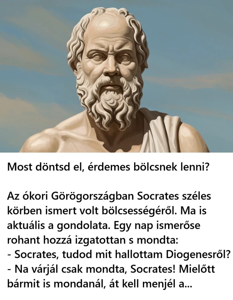Most döntsd el, érdemes bölcsnek lenni?