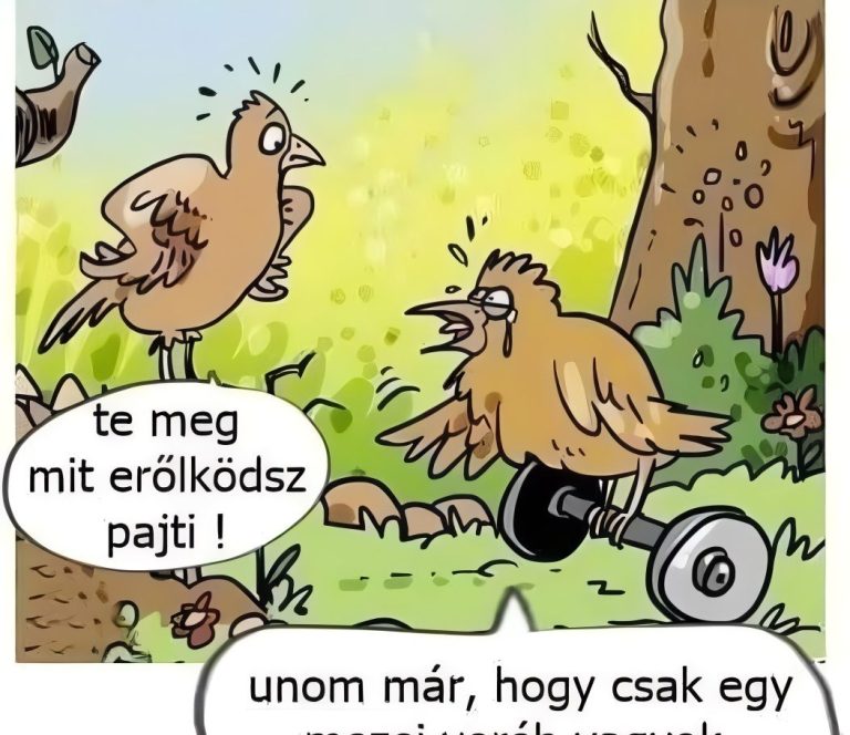 Te meg mit erőlködsz