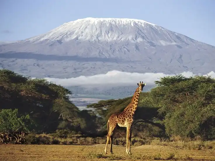 „Afrikaiasan, durván szeretett” – A gazdag svájci asszony drámája: az álomszerelemtől a menekülésig afrika, házasság, Identitás, Kaland, Kenya, Kultúra, Maszáj, Önéletrajz, sors, szerelem