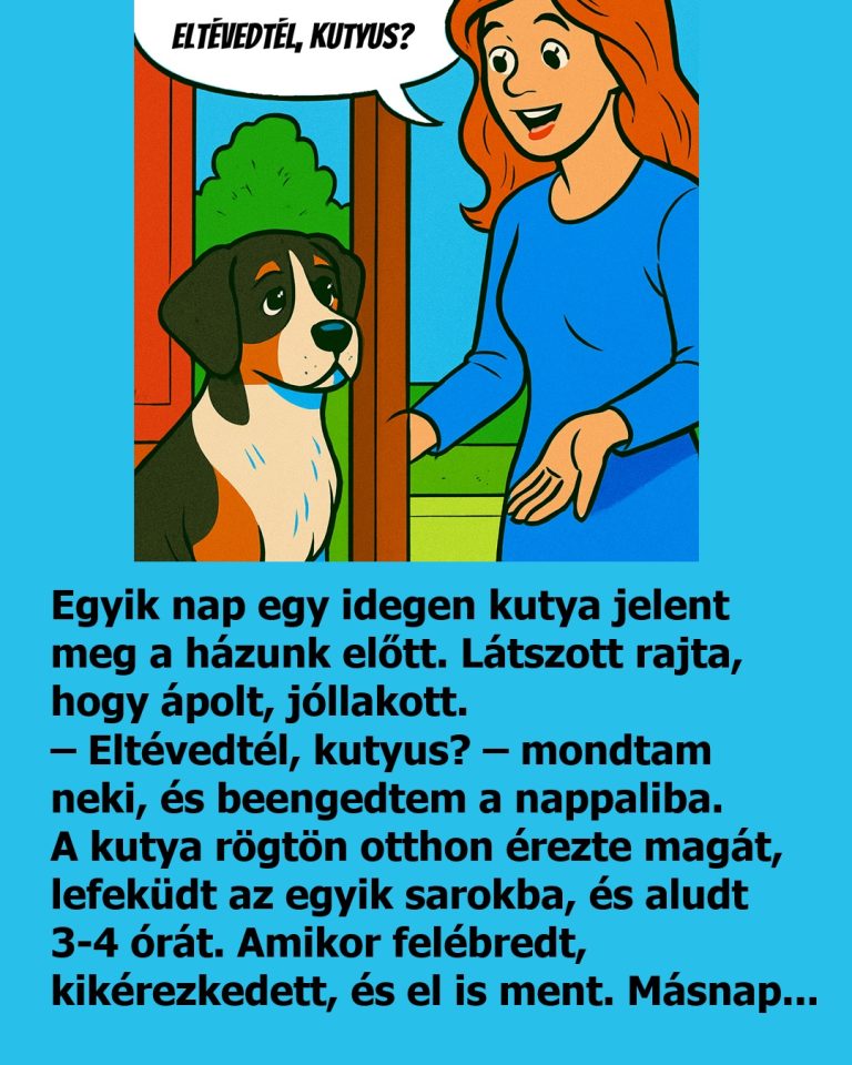 VICC: Egyik nap egy idegen kutya jelent meg a házunk előtt.