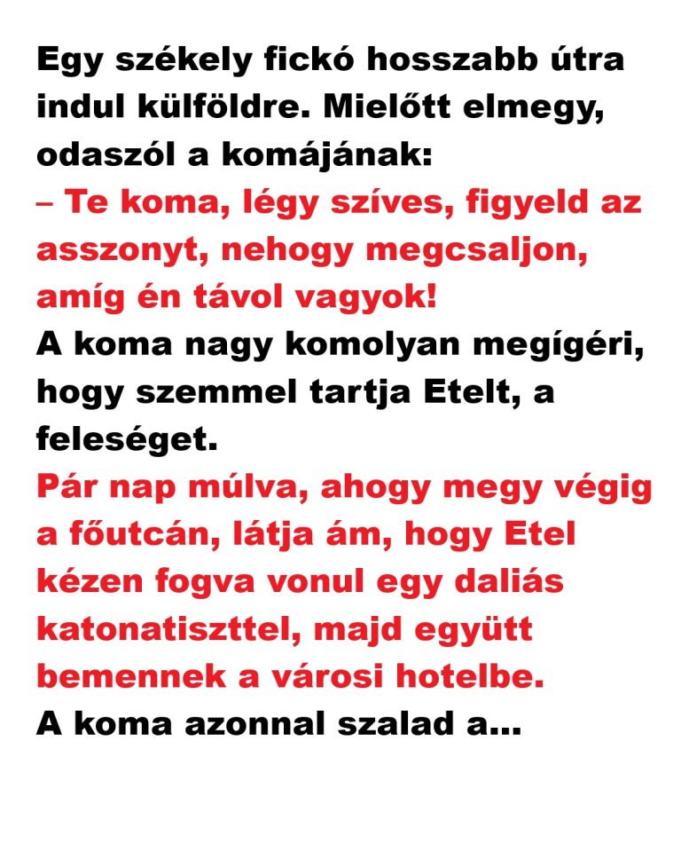 Egy székely fickó hosszabb útra indul külföldre.