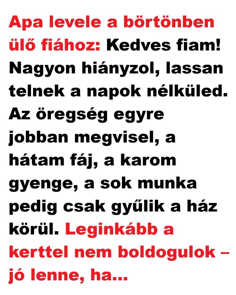 VICC: Apa levele a börtönben ülő fiához