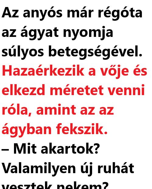 VICC: Az anyós már régóta az ágyat nyomja