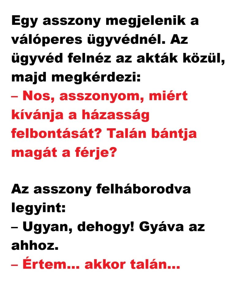 VICC: Egy asszony megjelenik a válóperes ügyvédnél.