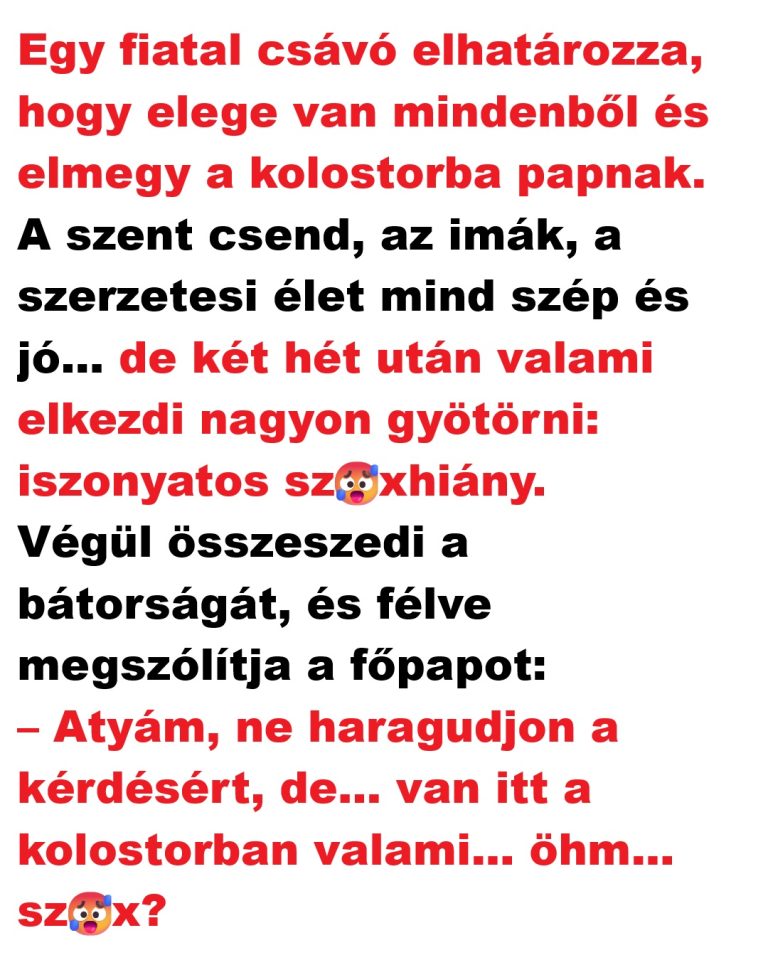 VICC: Egy fiatal csávó elhatározza, hogy elmegy a kolostorba papnak