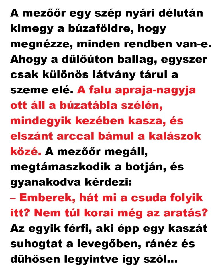 A mezőőr egy szép nyári délután kimegy a búzaföldre