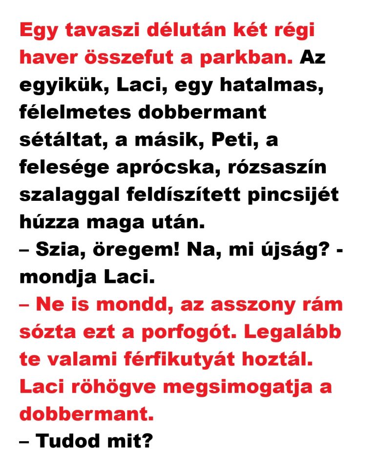 Egy tavaszi délután két régi haver összefut a parkban.