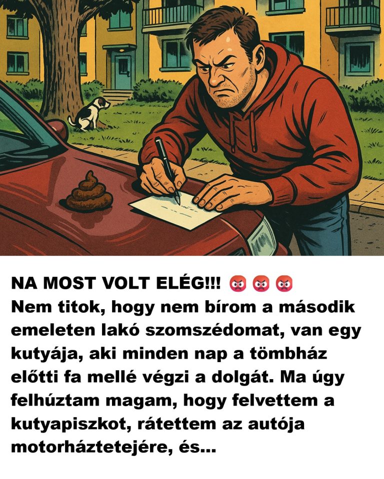 NA MOST VOLT ELÉG!