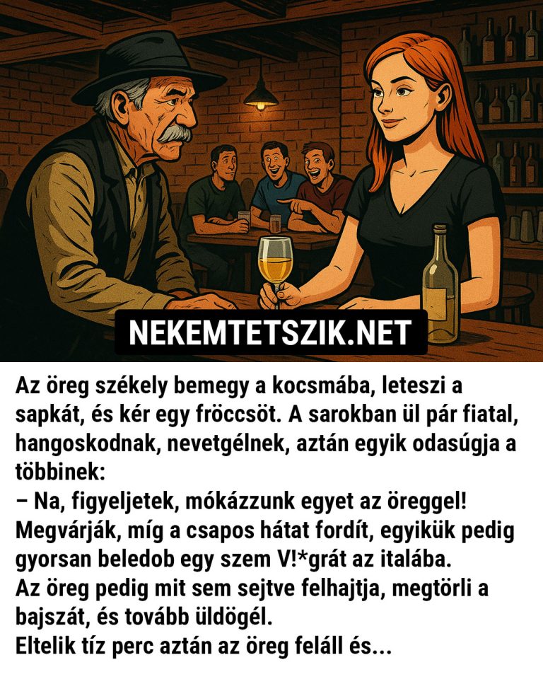 Az öreg székely bemegy a kocsmába