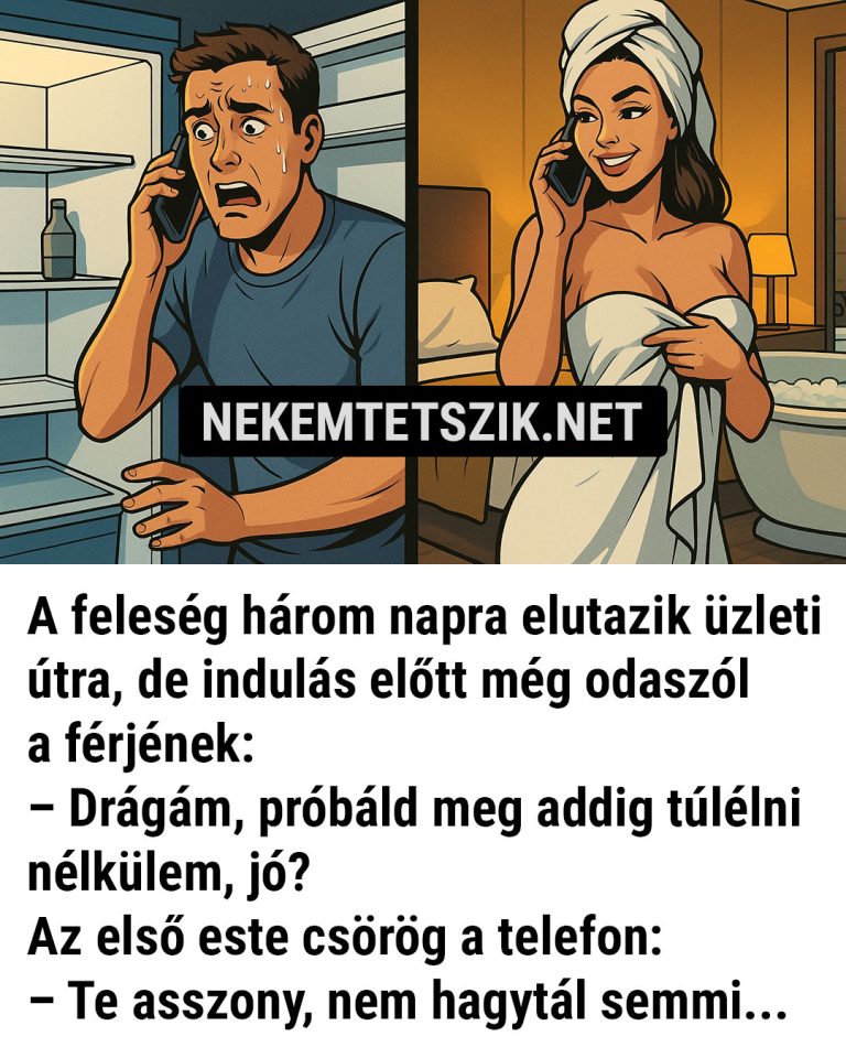 A feleség három napra elutazik üzleti útra