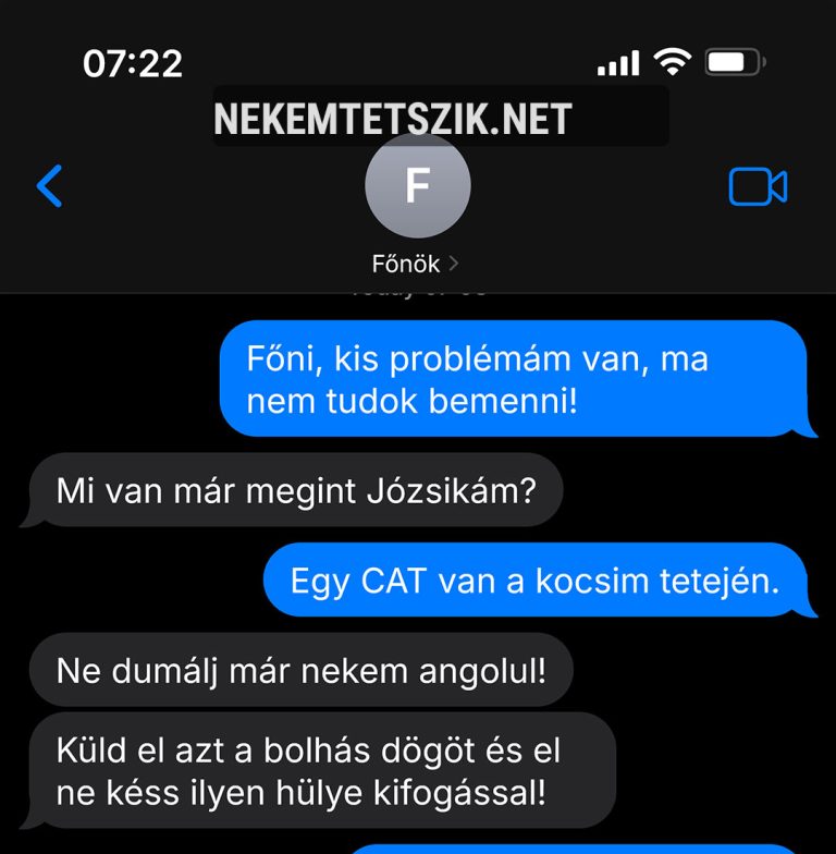 Főni, kis problémám van…